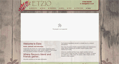 Desktop Screenshot of etzio.co.uk